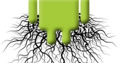 Introduction Guide on How to Root Your Android